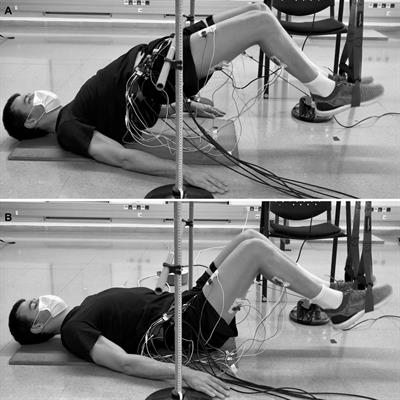 sEMG Activity in Superimposed Vibration on Suspended Supine Bridge and Hamstring Curl